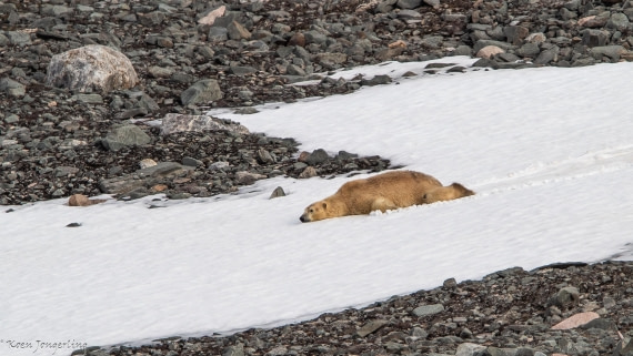 OTL06-25, Day 3, IMG_9575 © Koen Jongerling - Oceanwide Expeditions.jpg