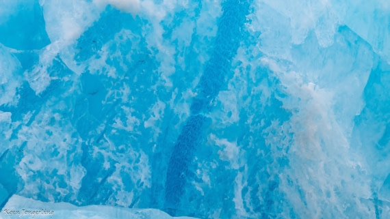 OTL06-25, Day 3, IMG_9587 © Koen Jongerling - Oceanwide Expeditions.jpg