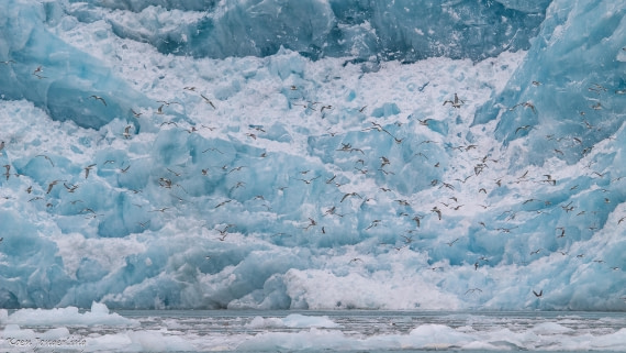 OTL06-25, Day 3, IMG_9612 © Koen Jongerling - Oceanwide Expeditions.jpg