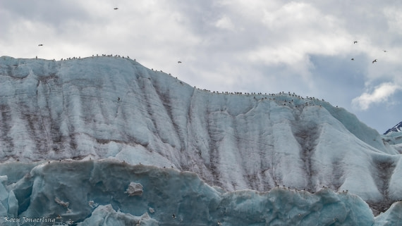 OTL06-25, Day 3, IMG_9635 © Koen Jongerling - Oceanwide Expeditions.jpg