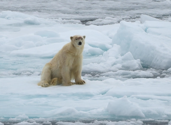 OTL06-25, Day 4, DSC00332 © Unknown photographer - Oceanwide Expeditions.JPG