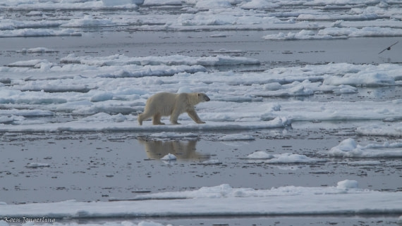 OTL06-25, Day 4, IMG_9720 © Koen Jongerling - Oceanwide Expeditions.jpg