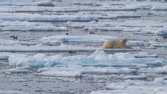 OTL06-25, Day 4, IMG_9727 © Koen Jongerling - Oceanwide Expeditions.jpg