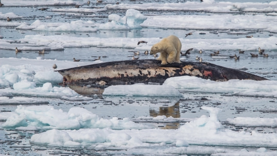 OTL06-25, Day 4, IMG_9758 © Koen Jongerling - Oceanwide Expeditions.jpg