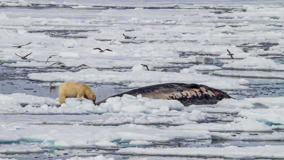 OTL06-25, Day 4, IMG_9763 © Koen Jongerling - Oceanwide Expeditions.jpg