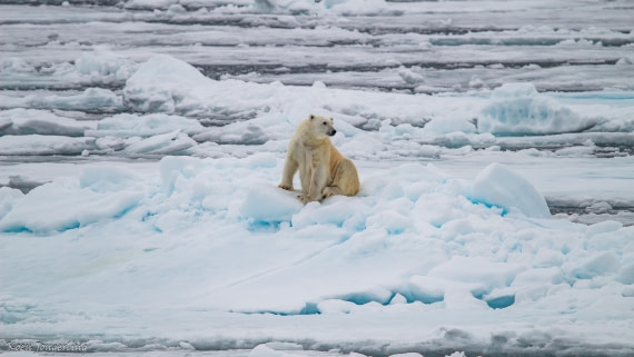 OTL06-25, Day 4, IMG_9766 © Koen Jongerling - Oceanwide Expeditions.jpg