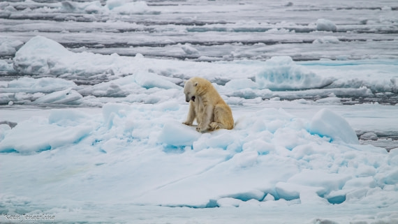 OTL06-25, Day 4, IMG_9768 © Koen Jongerling - Oceanwide Expeditions.jpg