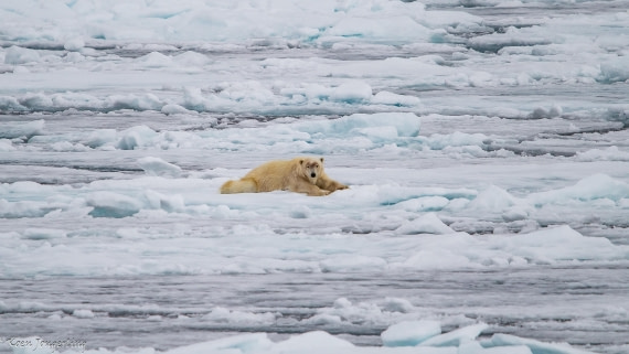 OTL06-25, Day 4, IMG_9780 © Koen Jongerling - Oceanwide Expeditions.jpg