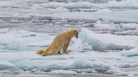OTL06-25, Day 4, IMG_9788 © Koen Jongerling - Oceanwide Expeditions.jpg