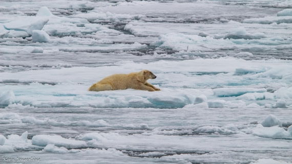 OTL06-25, Day 4, IMG_9784 © Koen Jongerling - Oceanwide Expeditions.jpg