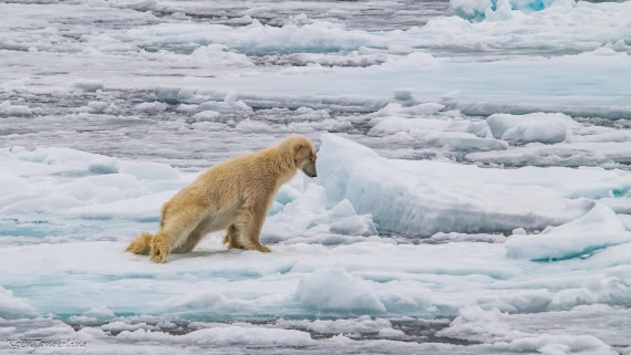 OTL06-25, Day 4, IMG_9789 © Koen Jongerling - Oceanwide Expeditions.jpg