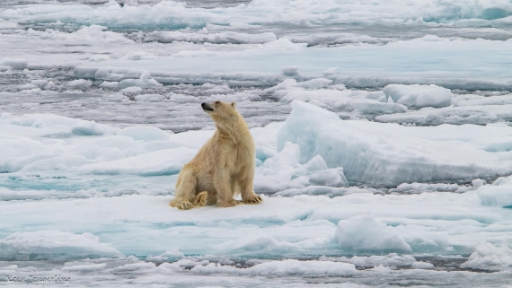 OTL06-25, Day 4, IMG_9792 © Koen Jongerling - Oceanwide Expeditions.jpg
