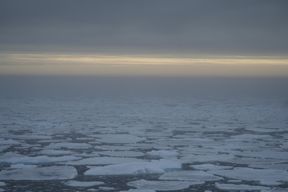 OTL06-25, Day 4, Pack ice early morning © Unknown photographer - Oceanwide Expeditions.JPG