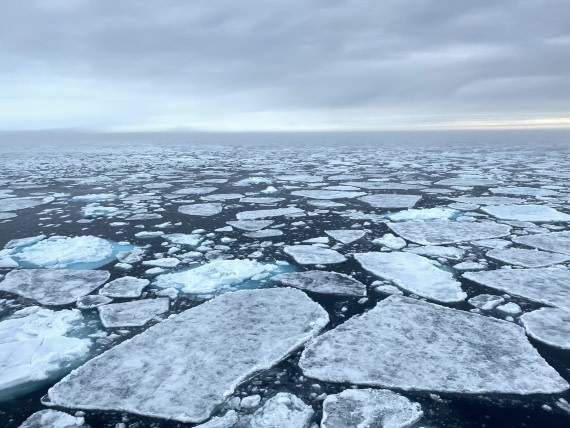 OTL06-25, Day 4, Pack ice3 © Unknown photographer - Oceanwide Expeditions.JPG