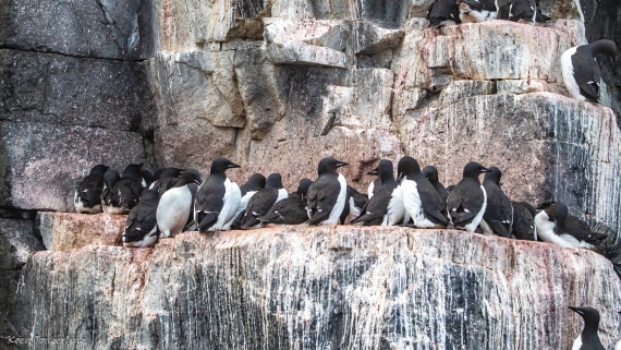 OTL06-25, Day 5, IMG_9828 © Koen Jongerling - Oceanwide Expeditions.jpg