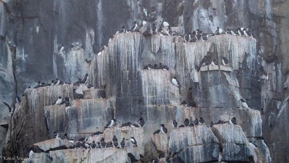 OTL06-25, Day 5, IMG_9832 © Koen Jongerling - Oceanwide Expeditions.jpg