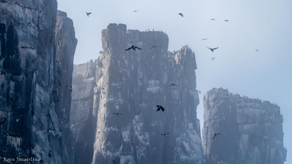 OTL06-25, Day 5, IMG_9842 © Koen Jongerling - Oceanwide Expeditions.jpg