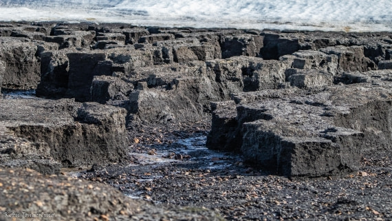 OTL06-25, Day 6, IMG_9877 © Koen Jongerling - Oceanwide Expeditions.jpg