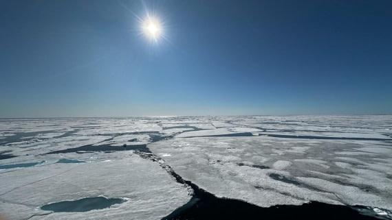 PLA07-25, Day 5, Pack ice (1) © Unknown photographer - Oceanwide Expeditions.jpg