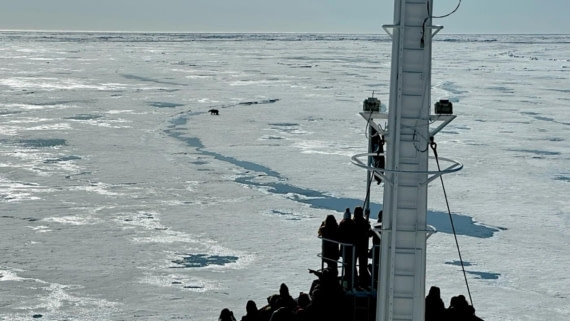 PLA07-25, Day 5, Pack ice (2) © Unknown photographer - Oceanwide Expeditions.jpg