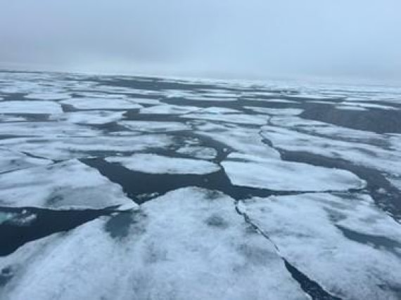 OTL07-25, Day 4, Picture10 © Unknown photographer - Oceanwide Expeditions.jpg