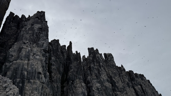 OTL07-25, Day 5, IMG_8175 © Unknown photographer - Oceanwide Expeditions.jpg