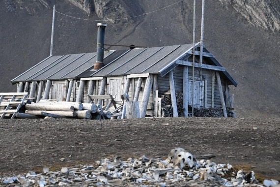 OTL07-25, Day 8, Picture25 © Unknown photographer - Oceanwide Expeditions.jpg