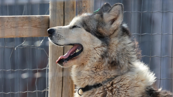 OTL08-25, Day 2, 5A8A4470 © Unknown photographer - Oceanwide Expeditions.jpg