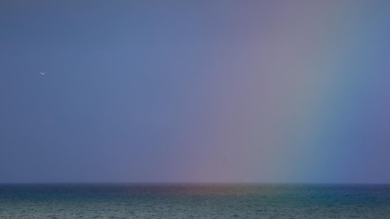 OTL08-25, Day 3, Picture5 © Unknown photographer - Oceanwide Expeditions.jpg