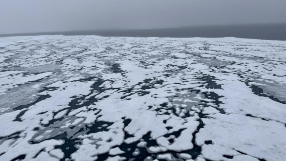 OTL08-25, Day 4, IMG_8457 © Unknown photographer - Oceanwide Expeditions.jpg