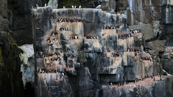 OTL08-25, Day 6, 5A8A5325 © Unknown photographer - Oceanwide Expeditions.jpg