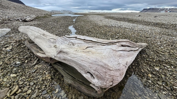 OTL08-25, Day 6, IMG_0418 © Unknown photographer - Oceanwide Expeditions.jpg