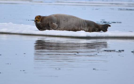 being cute is my strength