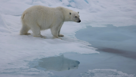 PLA09-25, Day 4, (9) © Regis Perdriat - Oceanwide Expeditions.jpg