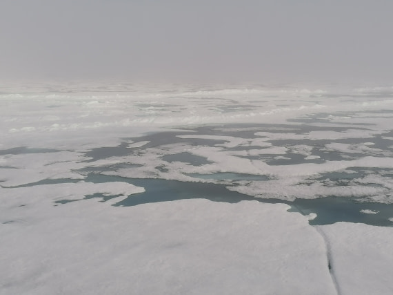 PLA09-25, Day 4, 29.07.2025_2_JW © Julia Wellner - Oceanwide Expeditions.jpg