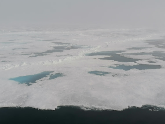 PLA09-25, Day 4, 29.07.2025_3_JW © Julia Wellner - Oceanwide Expeditions.jpg