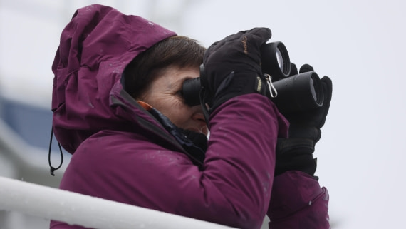 PLA09-25, Day 5, (4) © Regis Perdriat - Oceanwide Expeditions.jpg