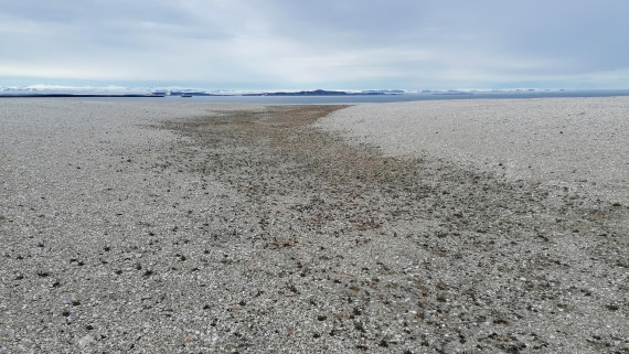 PLA09-25, Day 6, 31.07.2025_2_JW. © Julia Wellner - Oceanwide Expeditions.jpg