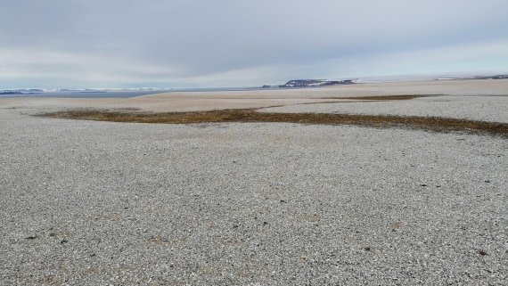 PLA09-25, Day 6, 31.07.2025_3_JW. © Julia Wellner - Oceanwide Expeditions.jpg