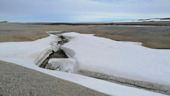 PLA09-25, Day 6, 31.07.2025_4_JW. © Julia Wellner - Oceanwide Expeditions.jpg