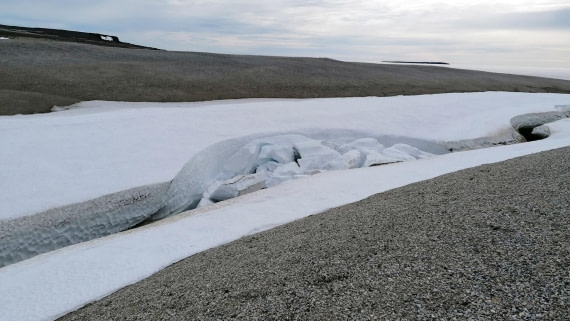 PLA09-25, Day 6, 31.07.2025_5_JW. © Julia Wellner - Oceanwide Expeditions.jpg