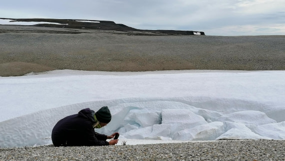 PLA09-25, Day 6, 31.07.2025_8_JW. © Julia Wellner - Oceanwide Expeditions.jpg