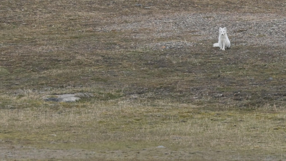 PLA09-25, Day 7, (9) © Regis Perdriat - Oceanwide Expeditions.jpg