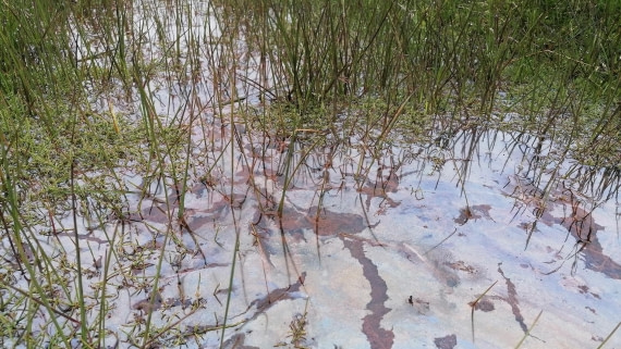 PLA09-25, Day 7, 01.08.2025_4_JW. © Julia Wellner - Oceanwide Expeditions.jpg