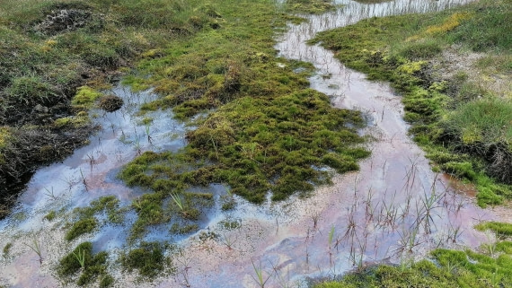 PLA09-25, Day 7, 01.08.2025_5_JW. © Julia Wellner - Oceanwide Expeditions.jpg