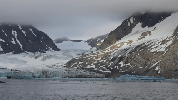 PLA09-25, Day 8, (15) © Regis Perdriat - Oceanwide Expeditions.jpg