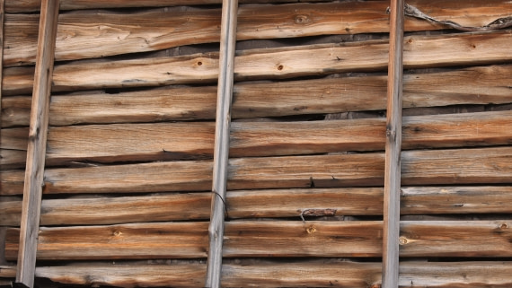 PLA09-25, Day 9, (8) © Regis Perdriat - Oceanwide Expeditions.jpg