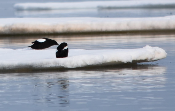hei på deg (hi to you)