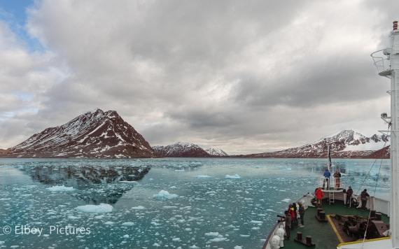 M/V Plancius Lilliehöökbreen Bay