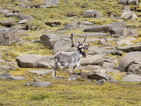 a little grimace for the picture